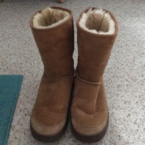 Chestnut Uggs